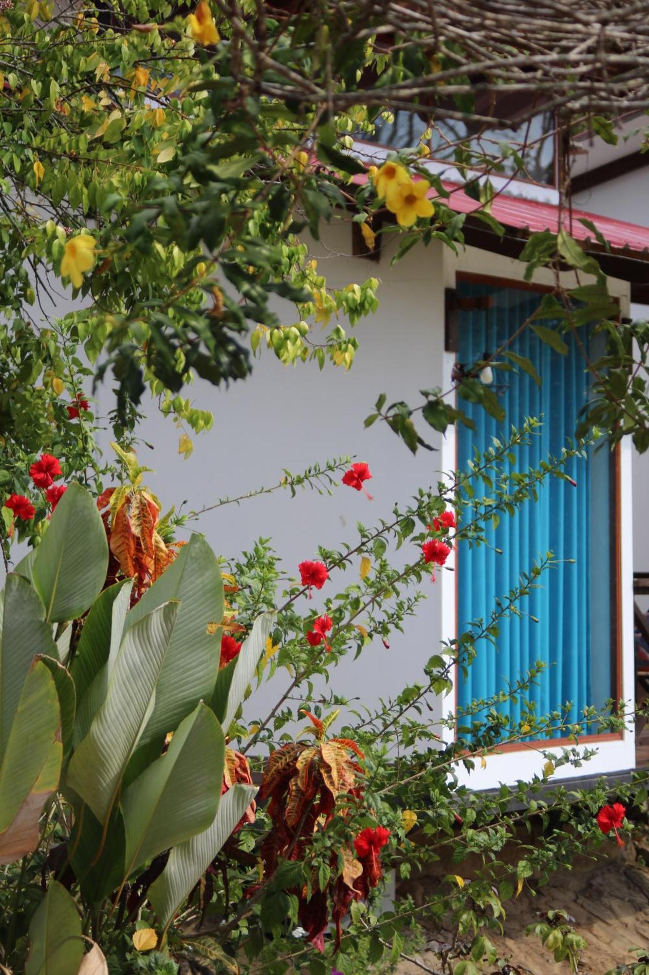 Hacienda Don Vicente Bungalows-타라포토 외부 사진
